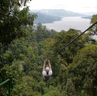 A person gliding on a zip line through the rainforest canopy.