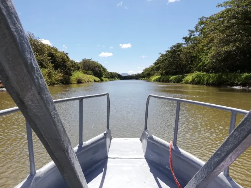 View from the bow of a boat sailing on a river surrounded by green trees.
