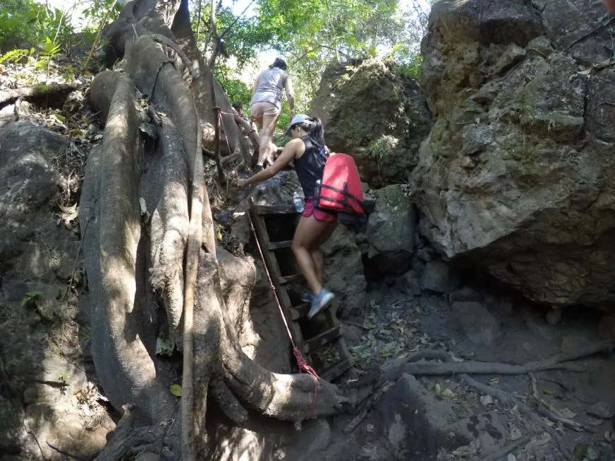 Two hikers climb a wooden ladder among large rocks and tree roots.