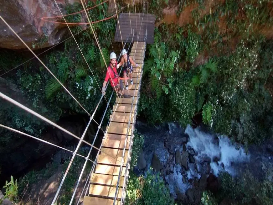 A person rides a zip line over a lush green canyon on a suspension bridge.