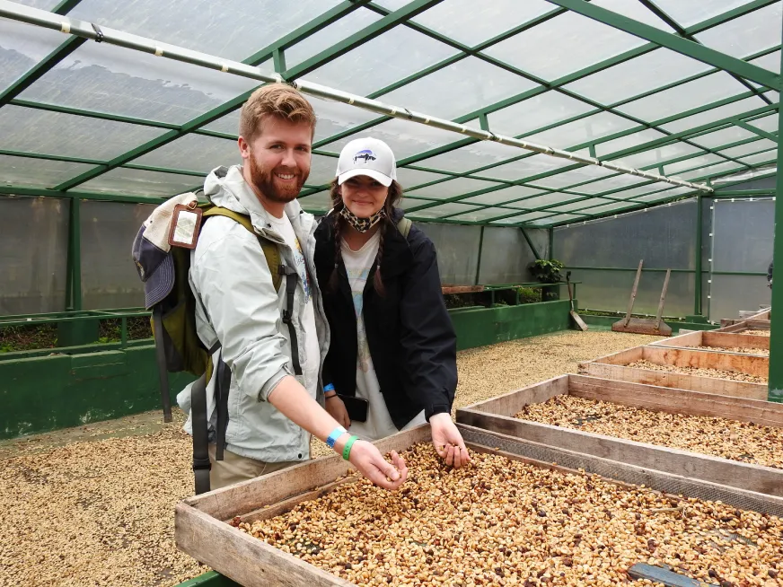 A man and a woman hold coffee beans drying on trays inside a greenhouse.