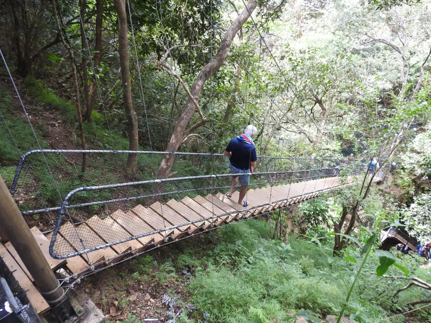 A wooden suspension bridge crosses over a stream surrounded by dense green jungle vegetation.