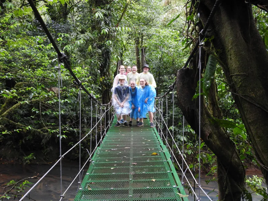 A long hanging suspension bridge stretches through a misty dense green rainforest.