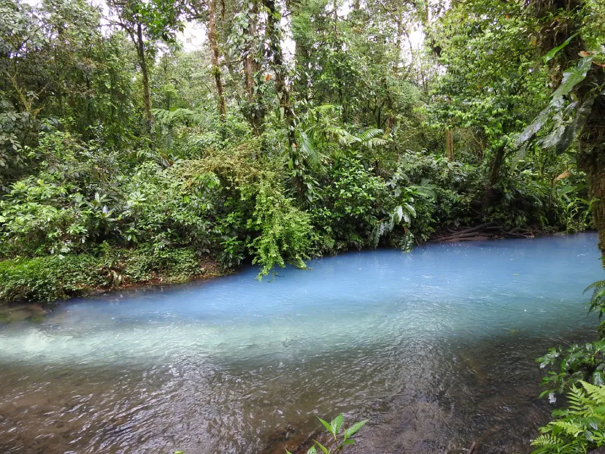 A fast-flowing turquoise river rushes through a narrow jungle gorge surrounded by vegetation.