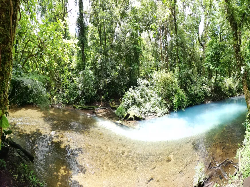Hikers walk along a jungle trail next to the turquoise Rio Celeste river below.