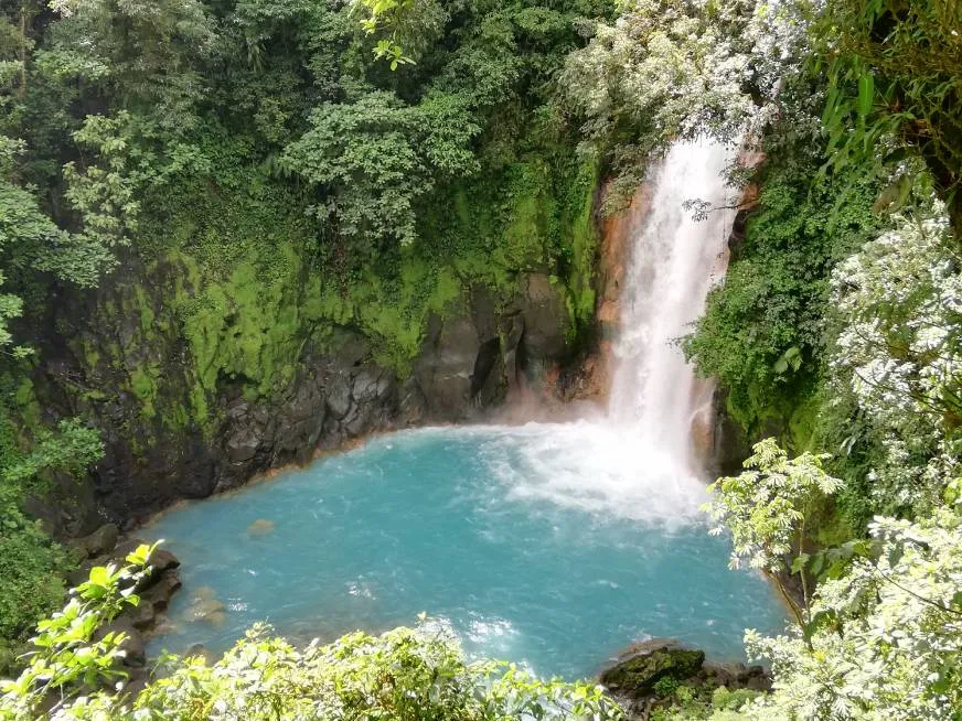 A turquoise waterfall cascades into a vivid blue pool surrounded by lush green jungle.