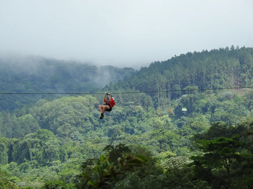 A panoramic view of a misty green rainforest valley stretching toward distant mountains.