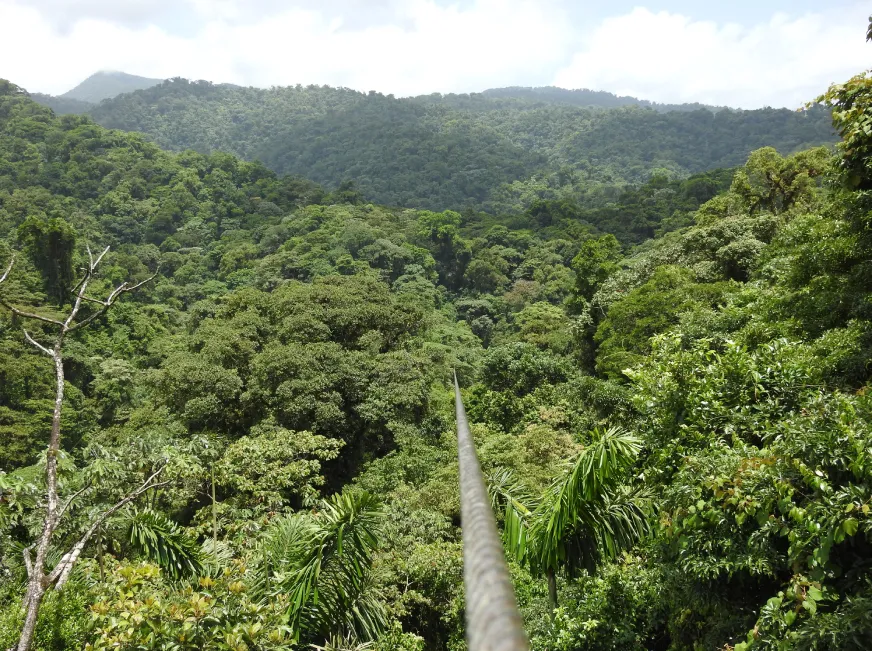 A panoramic view of rolling green forest hills and a hanging bridge under a partly cloudy sky.
