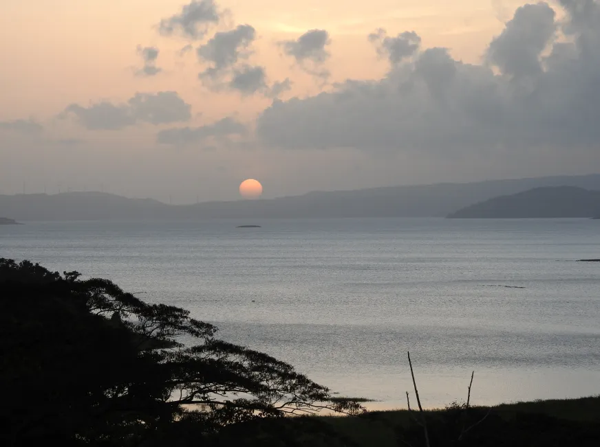 A dramatic golden sunset over a calm ocean with dark rocky coastal cliffs in the foreground.