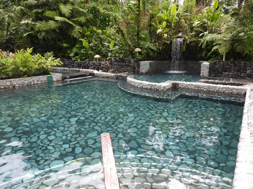 A serene turquoise thermal pool surrounded by tropical plants and stone landscaping.